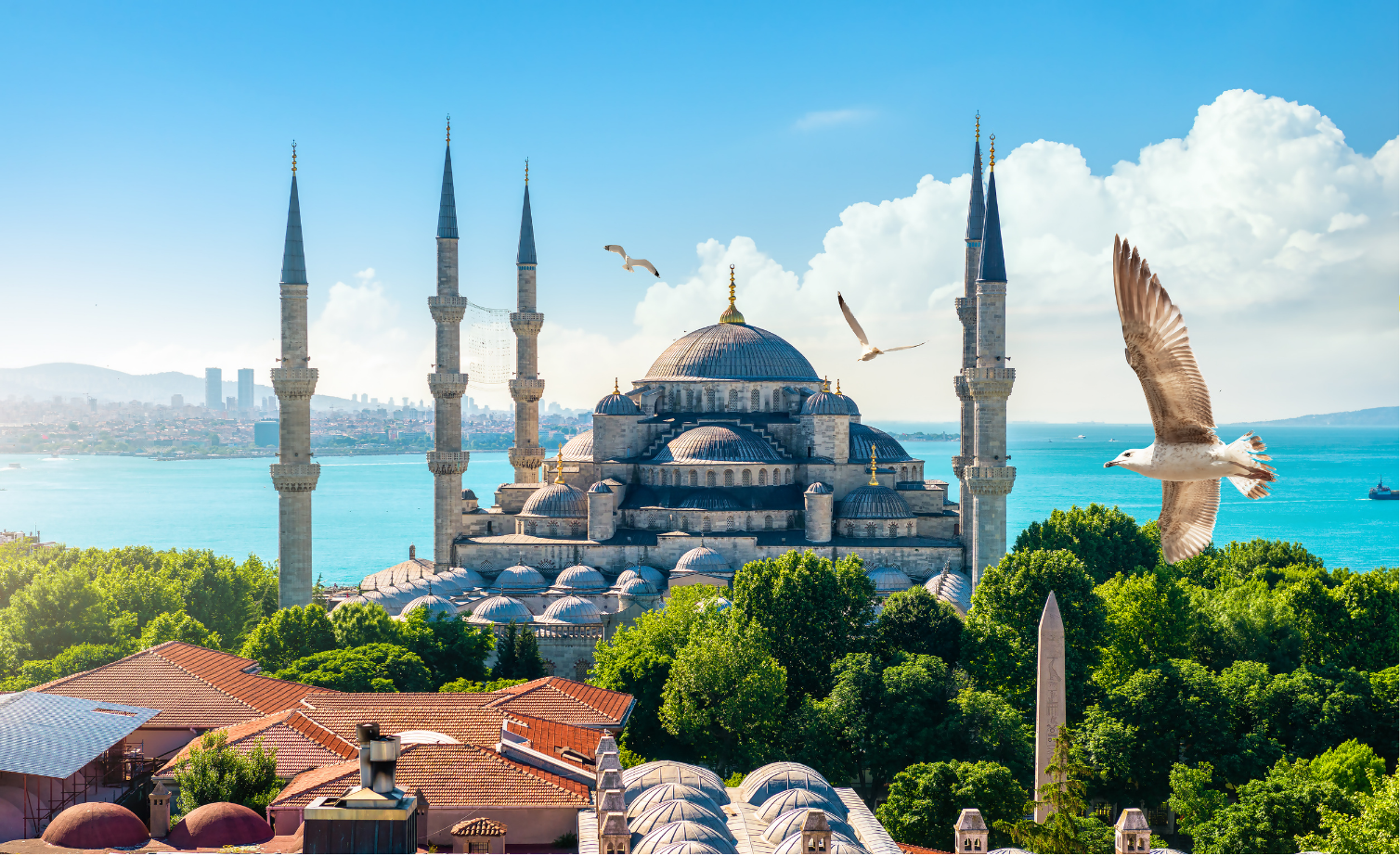 The Blue Mosque
